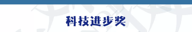 科技进步奖_副本.png
